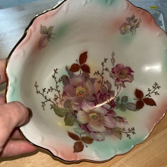 Vintage Schumann Arzberg Bavaria Hand-painted WILD ROSE Oval Relish/Celery Dish. - Picture 7 of 10